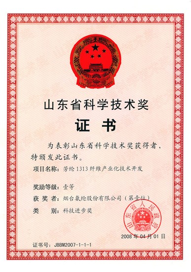 2008年，“芳纶1313纤维产业化技术开发”项目获山东省科学技术一等奖。